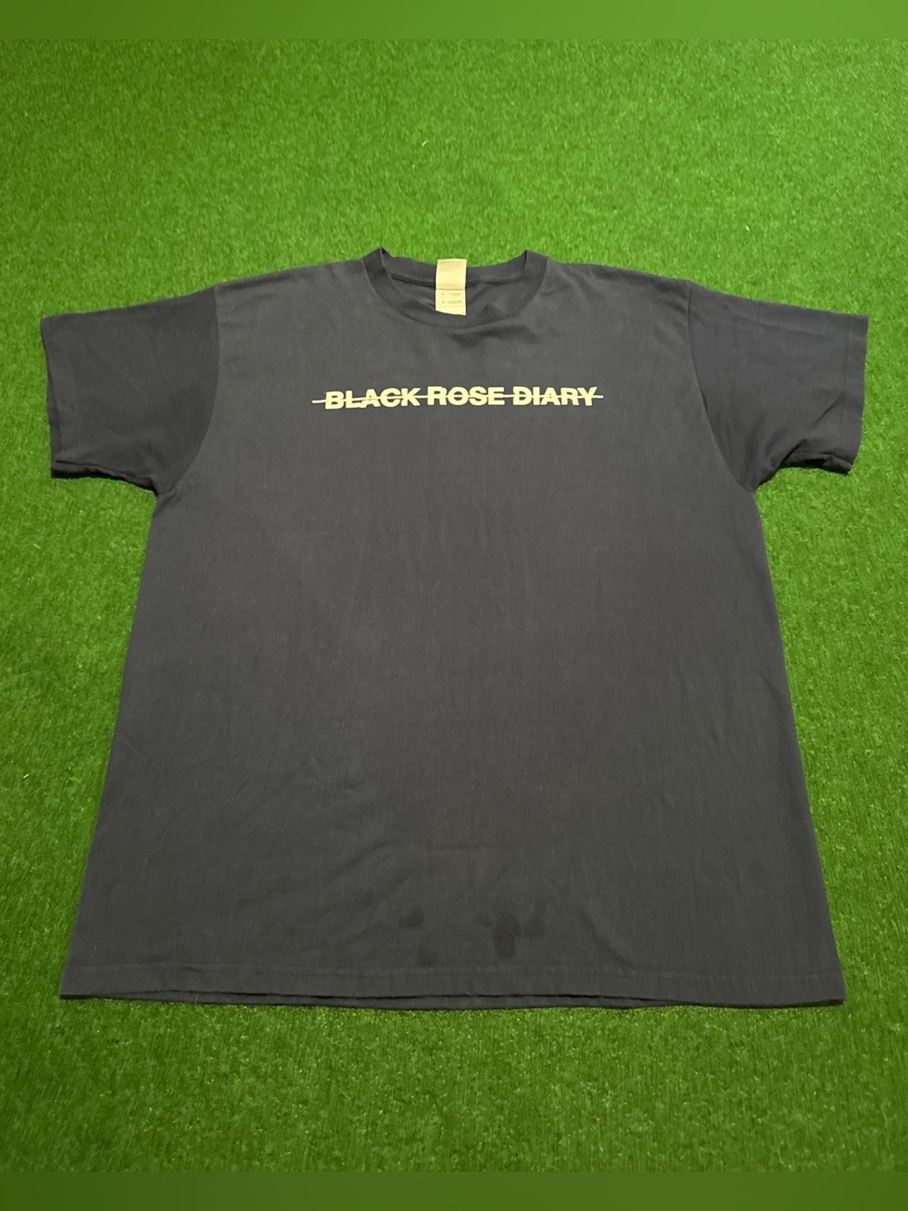 Black Rose Diary Vintage Band T Shirt Erie Pa Grunge Punk XL Concert Y2K Shirt